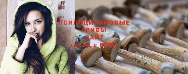 шишки Балахна