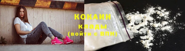 шишки Балахна