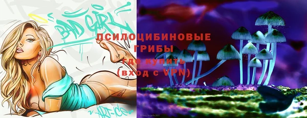 дурь Пролетарск